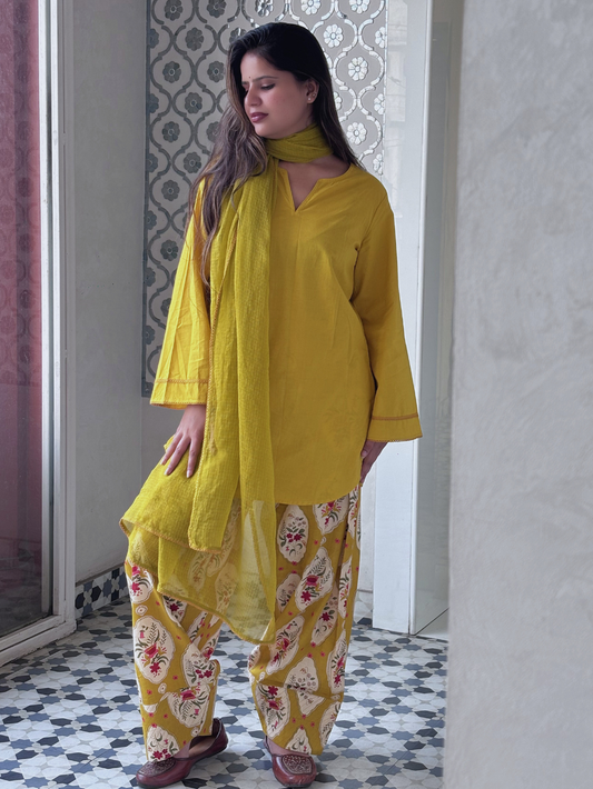 Sunheri Sleeved Farshi Set | Jovi India